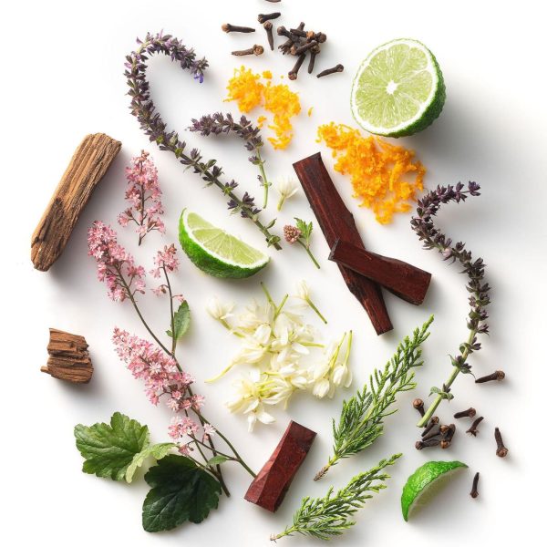 Newobje.shop0f82b15048 2