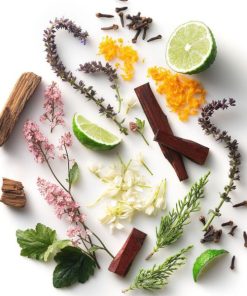 Newobje.shop367cb39875 2