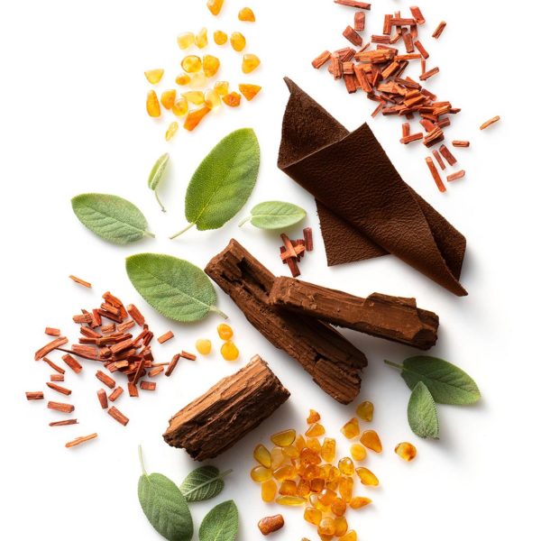 Newobje.shop78ce8dabd8 2