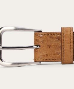 Newobje.shop83d28a41f5 5