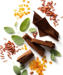 Newobje.shop96f4dcf256 2