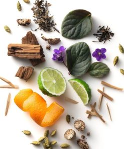 Newobje.shopdebf9661e0 2